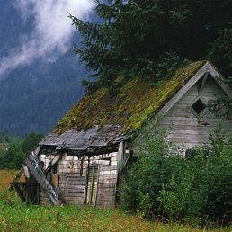 Вера, Красноярск